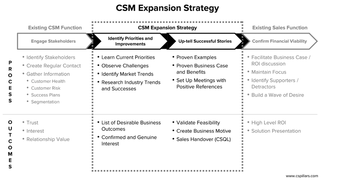 Estrategia de Expansión CSM: De la Relación Estratégica al Impacto en Ingresos