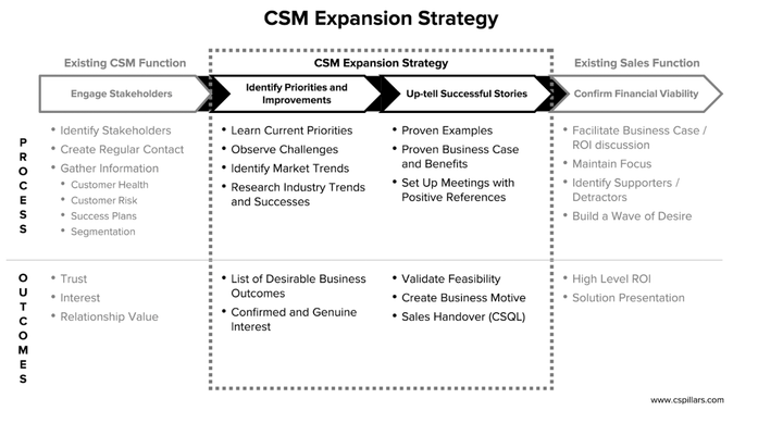 Estrategia de Expansión CSM: De la Relación Estratégica al Impacto en Ingresos